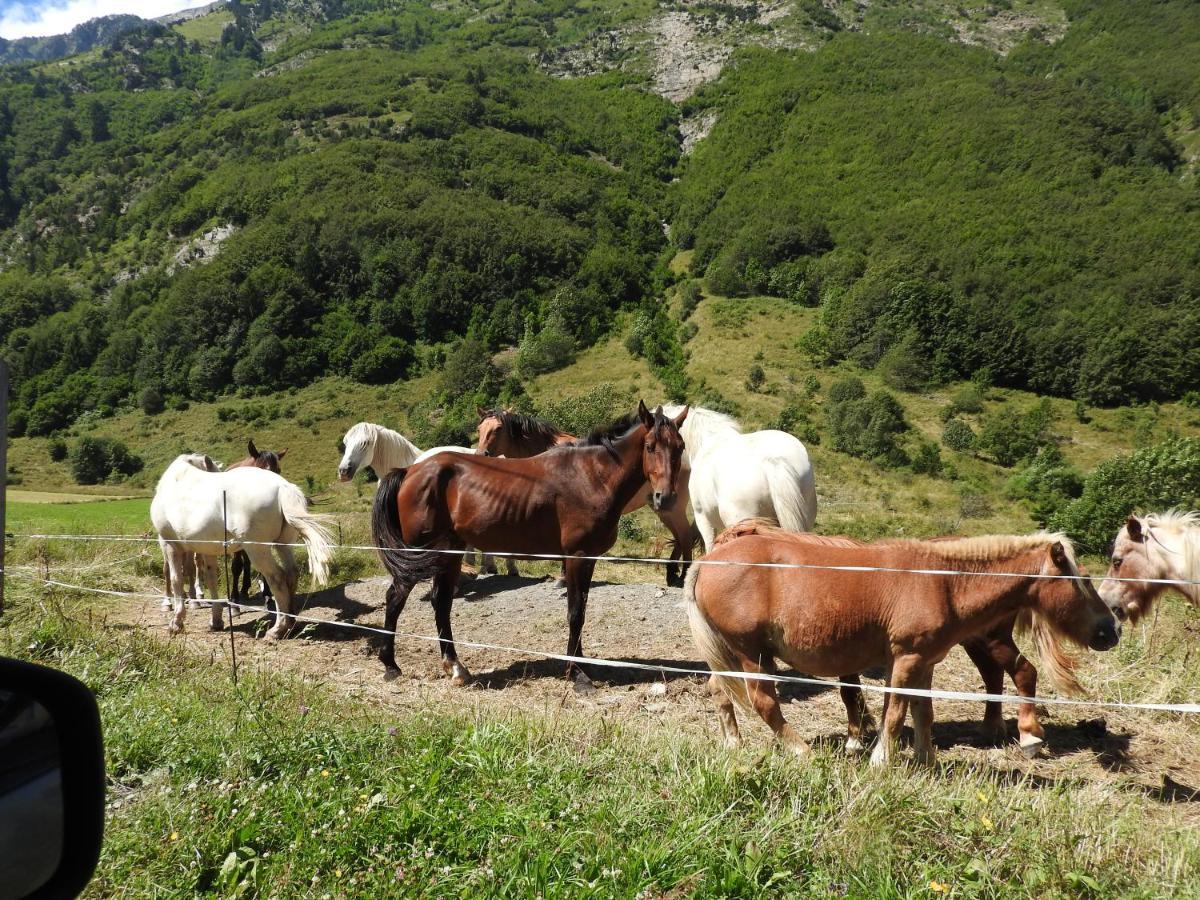 Gite Au Printemps Japonais, Petit Train De La Mure, Parc Des Ecrins Pierre-Chatel Екстер'єр фото